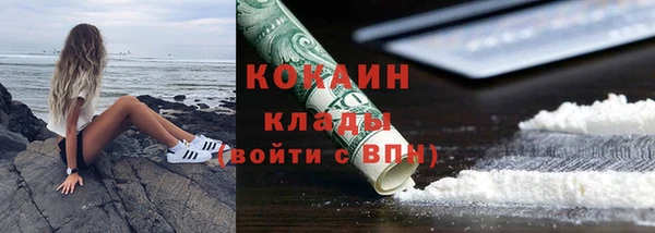 дживик Алзамай