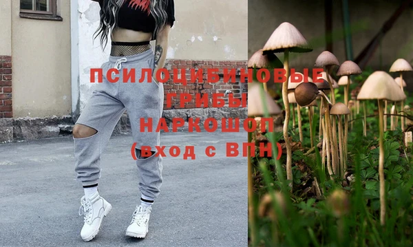 дживик Алзамай