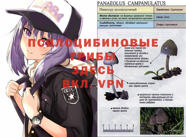 гидропоника Алексин