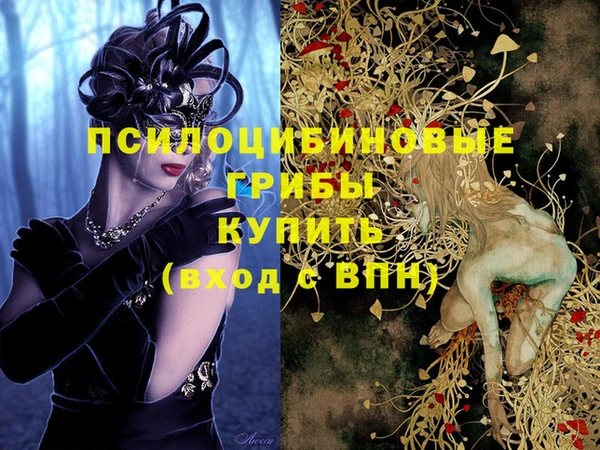 гидропоника Алексин