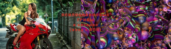 гидропоника Алексин