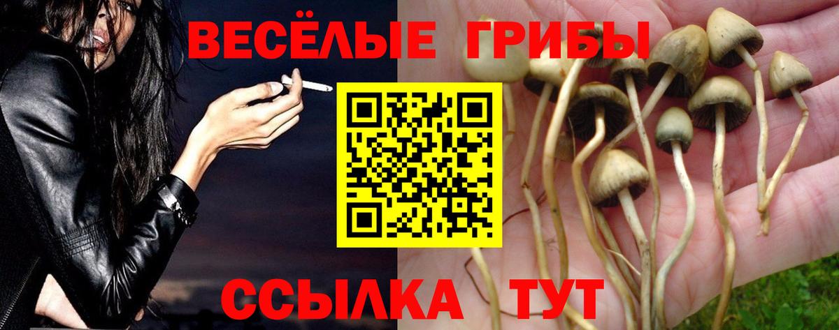 Галлюциногенные грибы Magic Shrooms  Галлюциногенные грибы прущие грибы  Вход с VPN  где найти   Копейск 