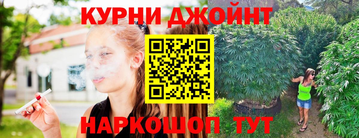 МАРИХУАНА конопля Копейск